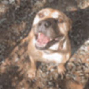 Meet your Posher, Adisyn